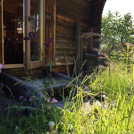 A Charming Alpine *
