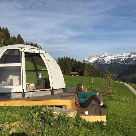 A Charming Alpine Chalet Ensex