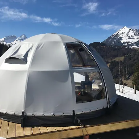 A Charming Alpine Chalet Ensex