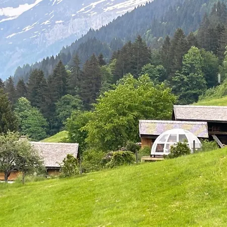 A Charming Alpine Ensex