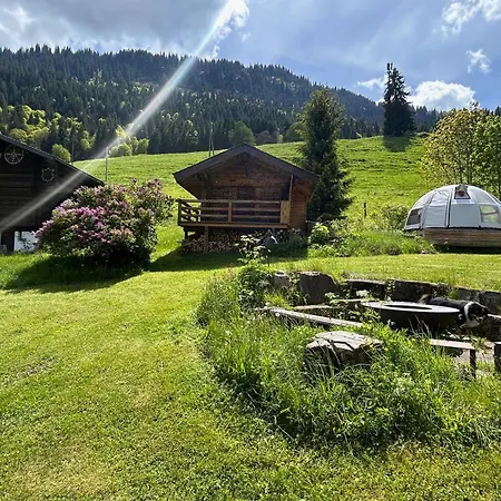 A Charming Alpine Chalet Ensex