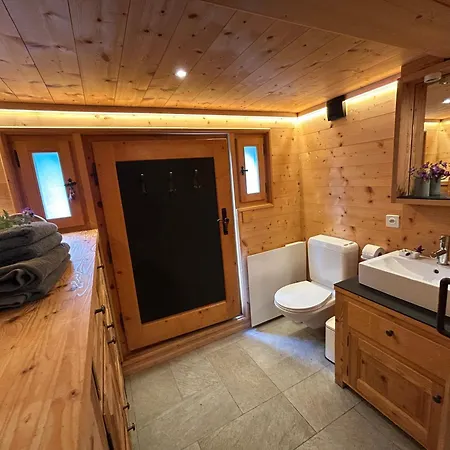 A Charming Alpine Chalet Ensex