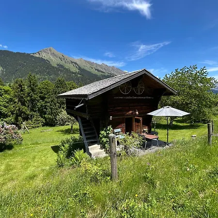 A Charming Alpine Chalet *