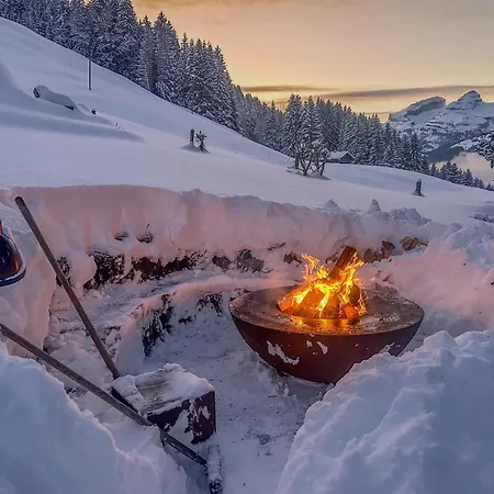 A Charming Alpine Chalet * Ensex
