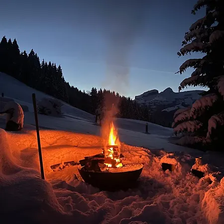 A Charming Alpine Chalet