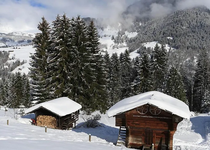 Le Farfadet Domek alpejski *